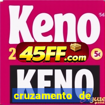 cruzamento de cavalo com jumenta globo rural